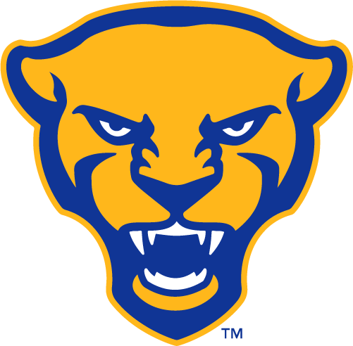 Pittsburgh Panthers 2019-Pres Alternate Logo diy iron on heat transfer...
